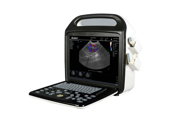 KR-C80便攜式寵物b超彩超機